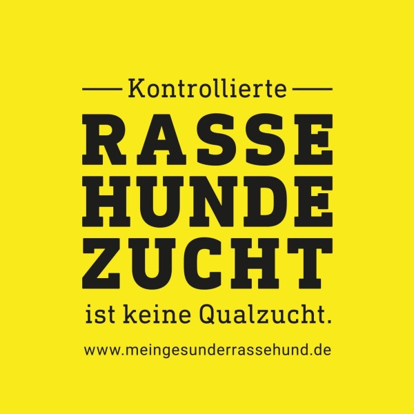 Die neue Tierschutzhundeverordnung: Kontrollierte Hundezucht ist keine Qualzucht!? Echt jetzt?